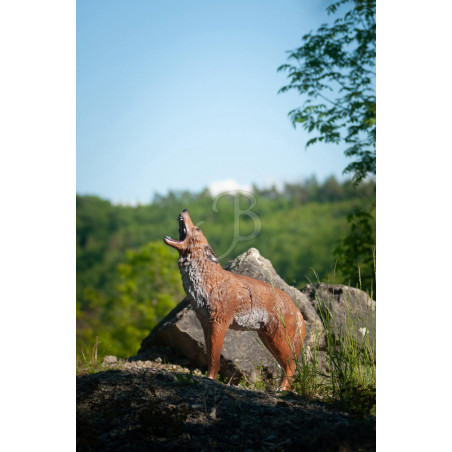 Cible 3D C.point Coyote