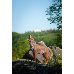 Cible 3D C.point Coyote