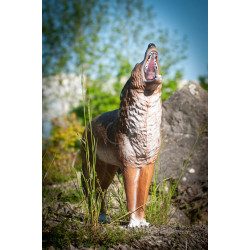 Cible 3D C.point Coyote