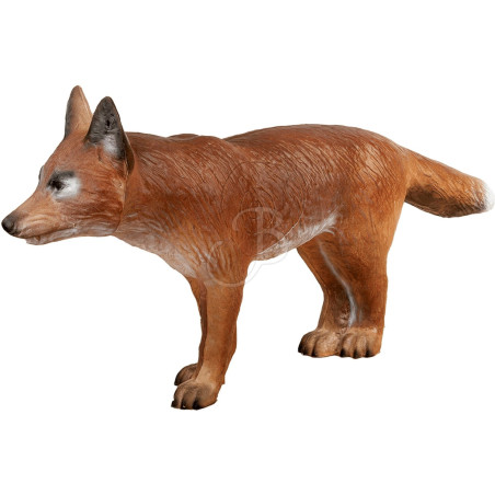 Cible 3D C.point Renard De Bout