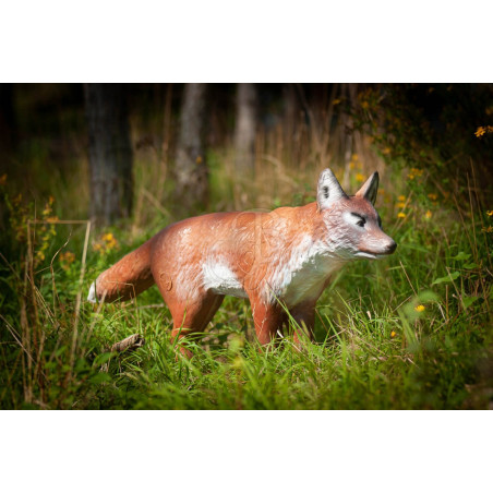 Cible 3D C.point Renard De Bout