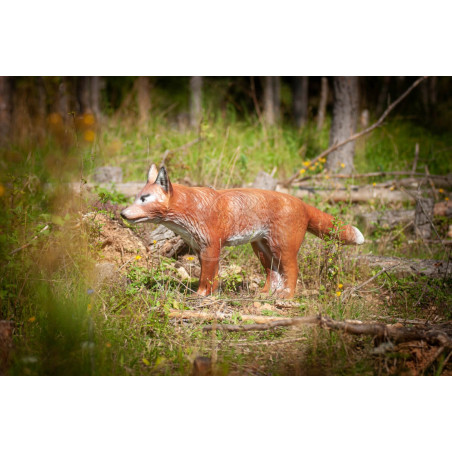Cible 3D C.point Renard De Bout