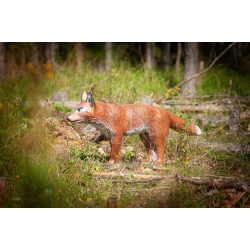 Cible 3D C.point Renard De Bout