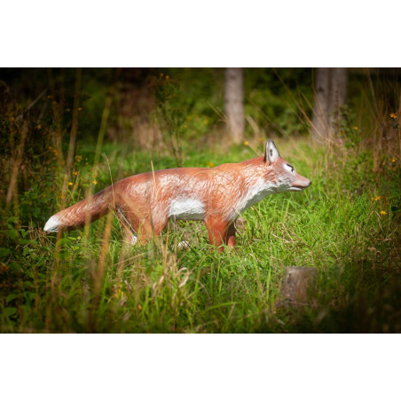 Cible 3D C.point Renard De Bout