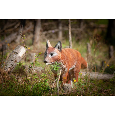 Cible 3D C.point Renard De Bout