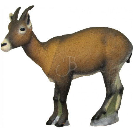 Cible 3D SRT Steinbock Female
