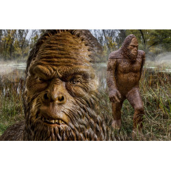 Cible 3D Rinehart 271 Sasquatch