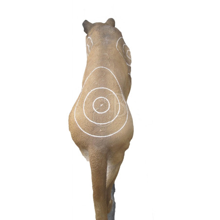 Cible 3D SRT Puma